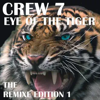 Eye of the Tiger (Alex Gap meets Groove Bandits Remix) by Crew 7 song reviws