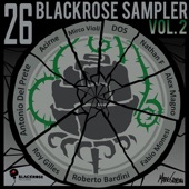 Blackrose Sampler Vol.2 artwork