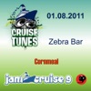 Jam Cruise 9: Cornmeal - 1/8/11