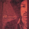 The Spirit Lives On - The Music of Jimi Hendrix Revisited vol I