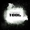 The Electro-Acoustic Tribute to Tool