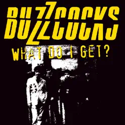 What Do I Get? (Live) - Buzzcocks
