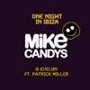 One Night In Ibiza (Feat. Patrick Miller)