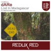 Lost In Madagascar - Single