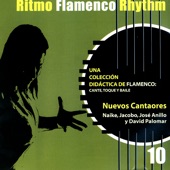 Ritmo Flamenco Rhythm 10: Nuevos Cantaores artwork