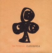 Casiopea - NATURALLY