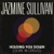 Jazmine Sullivan-Holding You Down (Goin' In Circles)