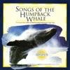 Frank Watlington - Solo Whale
