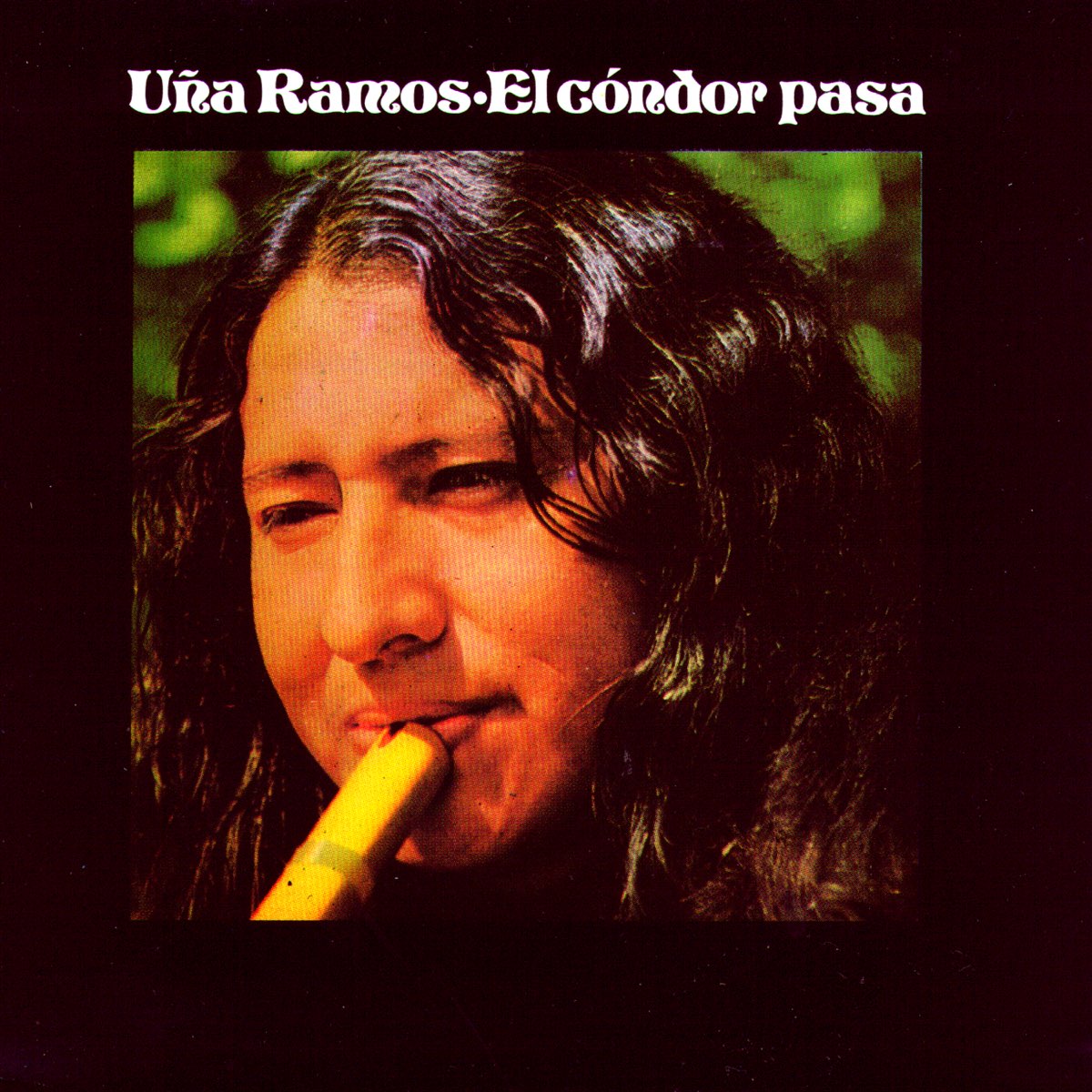 el-condor-pasa-by-u-a-ramos-on-apple-music