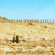 Gold in These Hills - Brandon Michael Kinder
