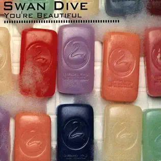 ladda ner album Swan Dive - Youre Beautiful