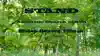 Bishop Howard Tillman Stand Revival (STAND REVIVAL) album lyrics, reviews, download