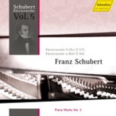 Schubert: Piano Works, Vol. 5 artwork