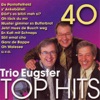 40 Trio Eugster Top Hits