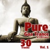 Pure Goa Trance, Vol. 1, 2010