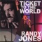 Your Disco Needs You - Randy Jones lyrics