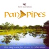 New Age Series: Pan Pipes, 2006