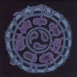 Dreamtime Submersible - Steve Hillage Dreamtime Submersible - Steve Hillage