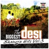 The Biggest Desi Bhangra Hits, Vol. 3