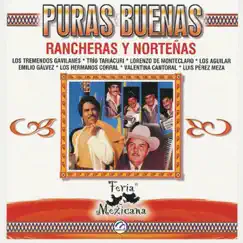 Puras Buenas - Rancheras y Nortenas - Feria Mexicana by Carlos Gomez, Chicanos Band, Dueto Chihuahua, Emilio Galvez, Lorenzo de Monteclaro, Los Aguilar, Los Dos Reales, Los Hermanos Corral, Los Rayos del Norte, Los Reyes del Norte, Los Tremendos Gavilanes, Luis Pérez Meza, Paulino Vargas, Trio Tariacuri & Valentina Cantoral album reviews, ratings, credits