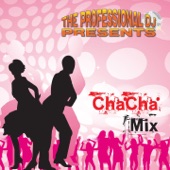 Disco Cha Cha Mix: Tea For Two / Pepito / They All Went To México / Eso el Amor / Black Magic Woman (122 Bpm) artwork