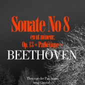 Pathétique, Piano Sonata No.8 In C Minor, Op. 13 : I. Grave, Allegro di molto e con brio - Theo van der Pas