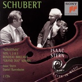 Schubert: Violin Sonata - Haydn: Violin Concerto artwork