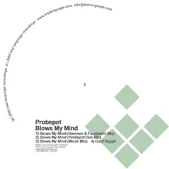 Blows My Mind (Probspot Dub Mix) Song Lyrics