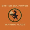 Waving Flags - Single