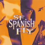 Treasure of My Heart