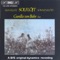 2 Elegiac Melodies, Op. 34 : 2 Elegiac Melodies, Op. 34, II: Varen (Last Spring) artwork