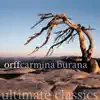 Orff: Carmina Burana album lyrics, reviews, download