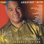 Luis Felipe Gonzalez: Grandes Exitos - Greatest Hits artwork