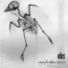 Originfamilygenusspecies - EP album lyrics, reviews, download