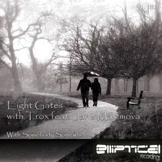 With Somebody Somewhere (Yuriy Poleg Remix) by Eight Gates & Trox song reviws