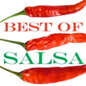 Best of Salsa artwork