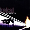 Kekal