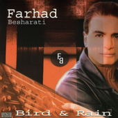 Unbreak My Heart - Farhad Besharati