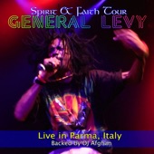 General Levy: Live In Parma, Italy artwork