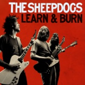 Learn and Burn (Deluxe Version) artwork