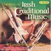 The Best Of Irish Traditional Music