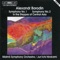 Symphony No. 2 In B Minor : III. Andante artwork