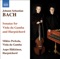 Trio in D Minor, BWV 583 artwork
