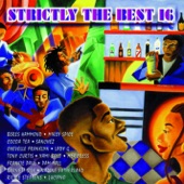 Strictly the Best, Vol. 16 artwork