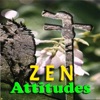 Zen Attitude, 2006