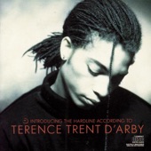 Introducing the Hardline According to Terence Trent D'Arby artwork
