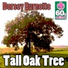 Tall Oak Tree (Remastered) - Single