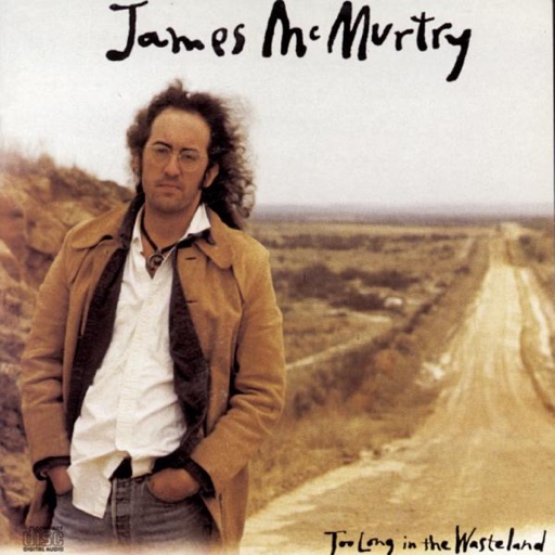 Art for Painting by Numbers by James McMurtry