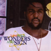 Wonders and Sign artwork