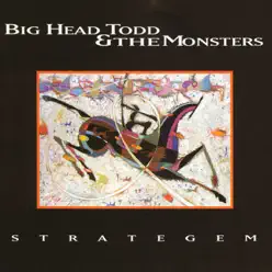 Strategem - Big Head Todd and The Monsters